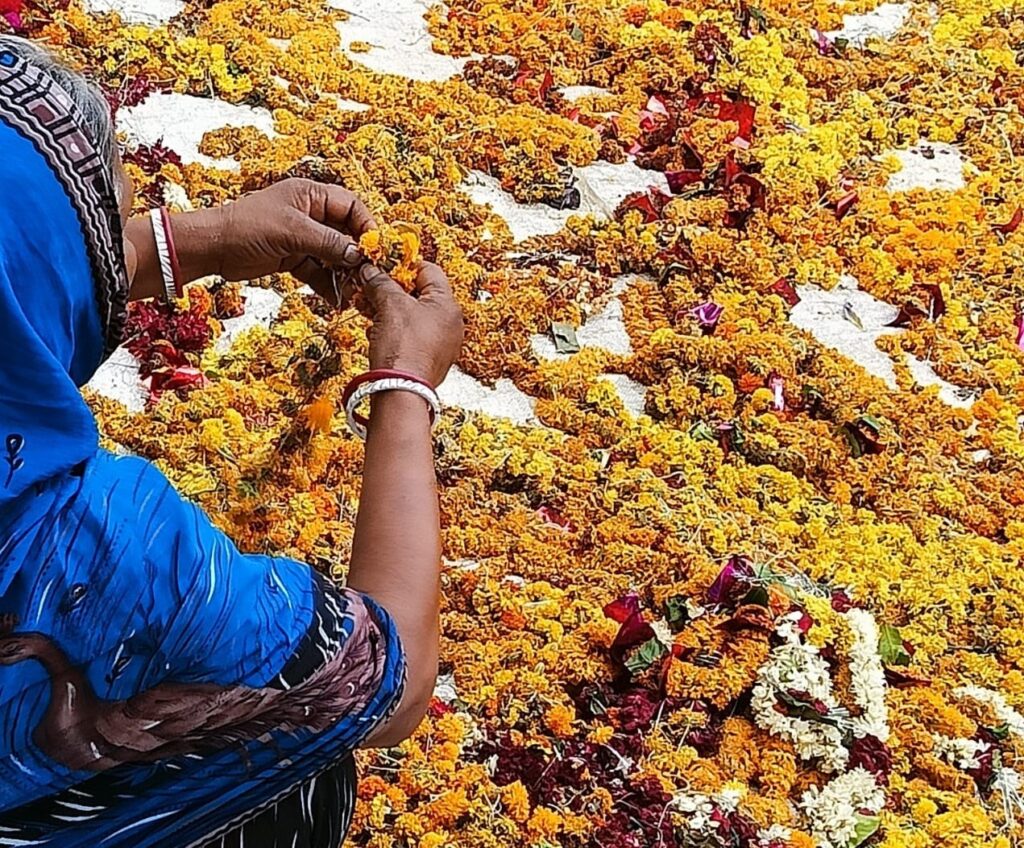 KASHREE FLOWER PROSES